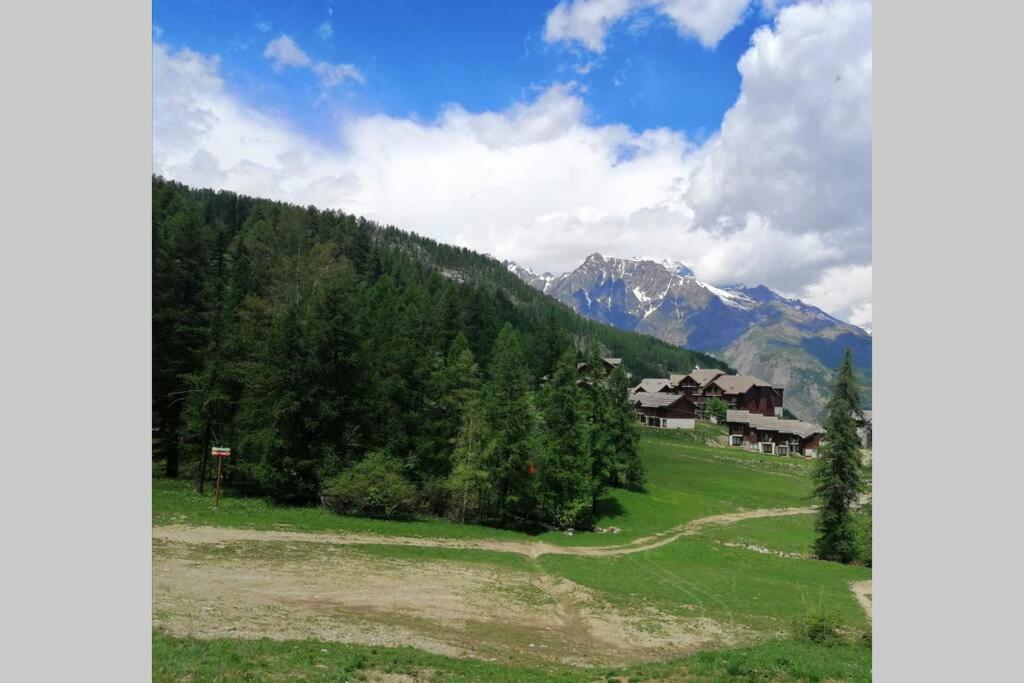 Appartement Puy Saint Vincent Alpes Du Sud Ete - Hiver 布伊·圣文森特 外观 照片